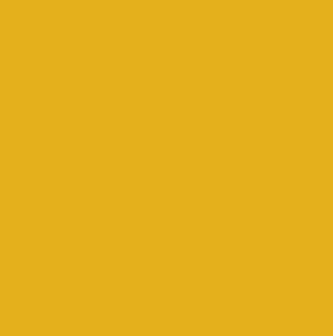 RAL1003 - Signal yellow