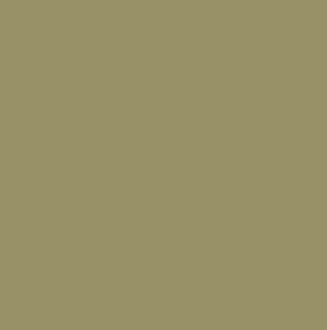 RAL1020 - Olive yellow