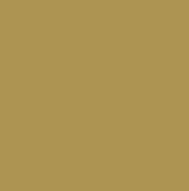 RAL1024 - Ochre yellow