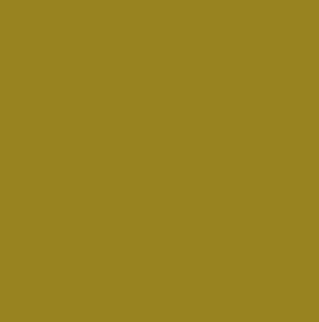 RAL1027 - Curry
