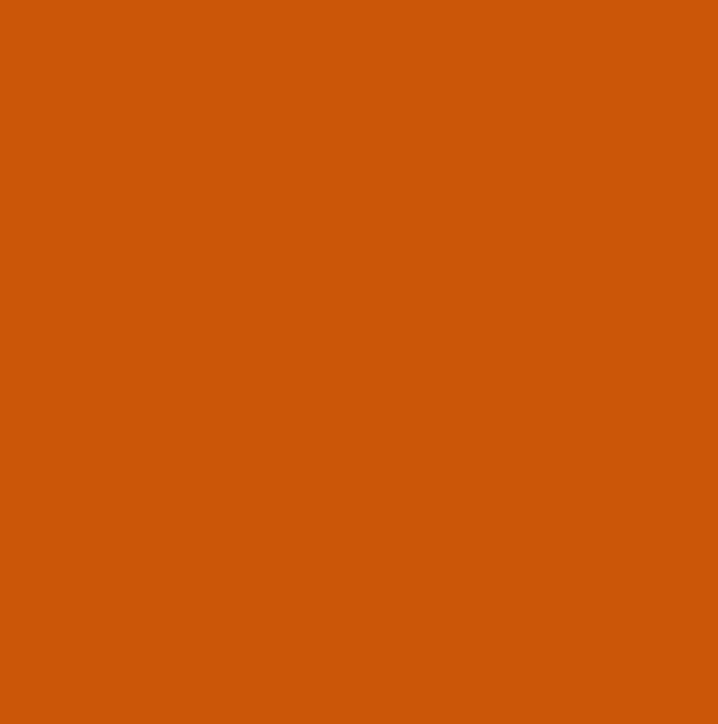 RAL2004 - Pure orange