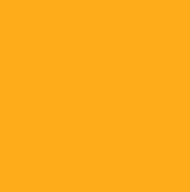 RAL2007 - Luminous bright orange
