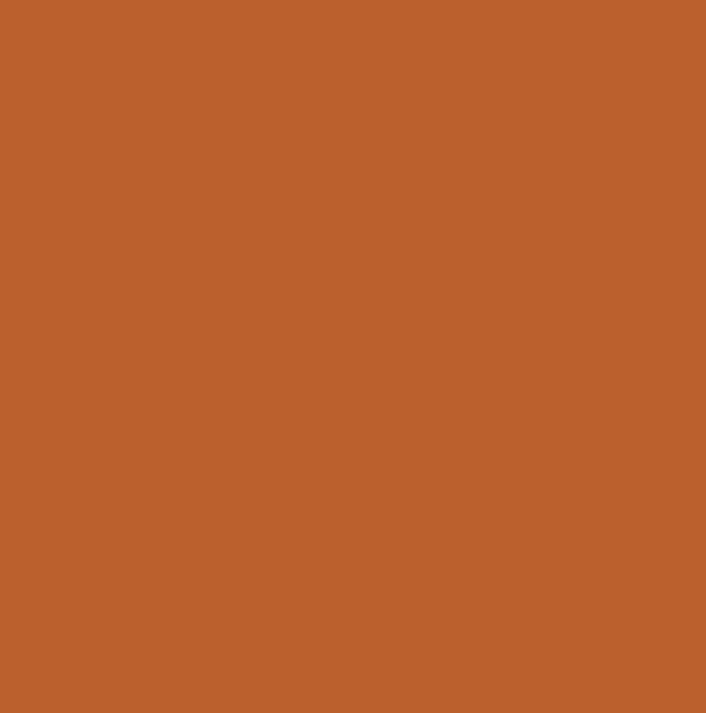 RAL2010 - Signal orange