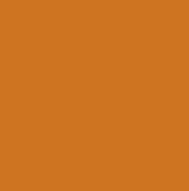 RAL2011 - Deep orange