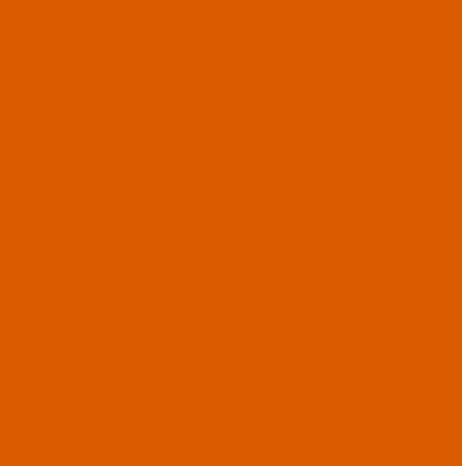 RAL2017 - RAL orange