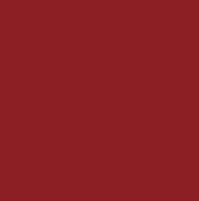 RAL3002 - Carmine red