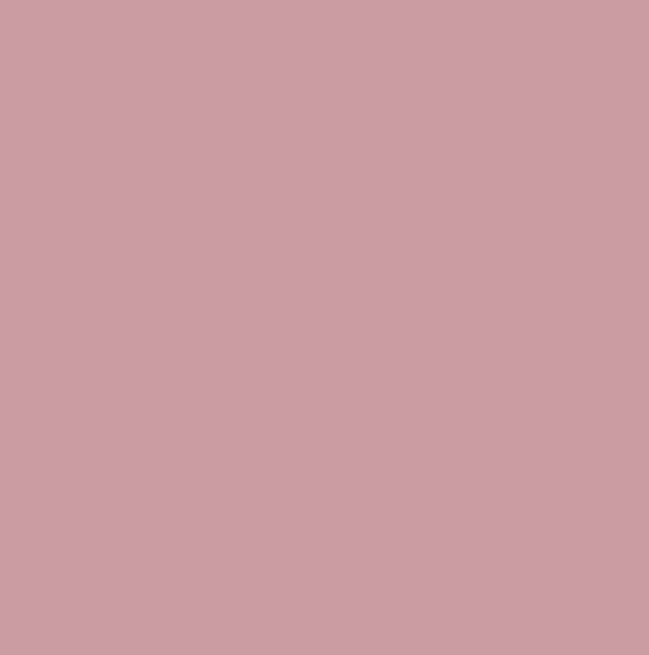 RAL3015 - Light pink