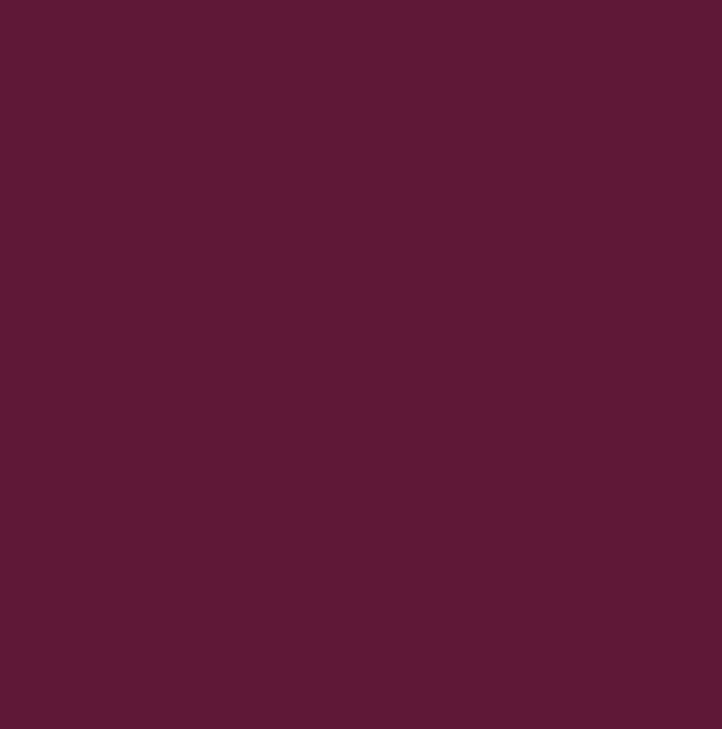 RAL4004 - Claret violet