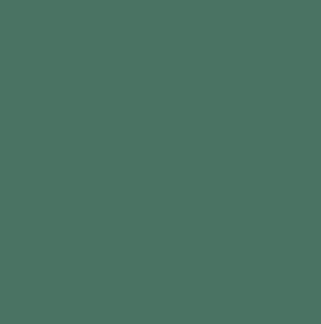 RAL6000 - Patina green