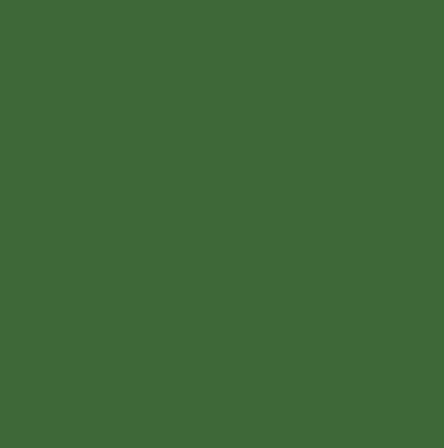 RAL6001 - Emerald green