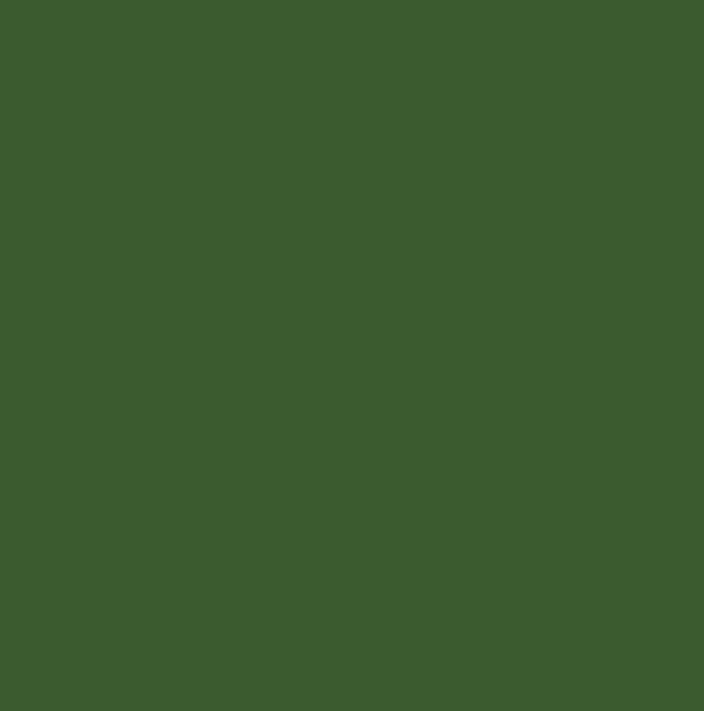 RAL6002 - Leaf green