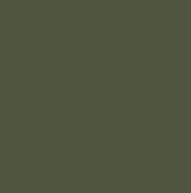RAL6003 - Olive green