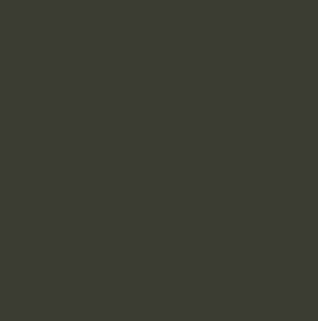 RAL6006 - Grey olive