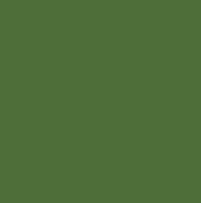 RAL6010 - Grass green