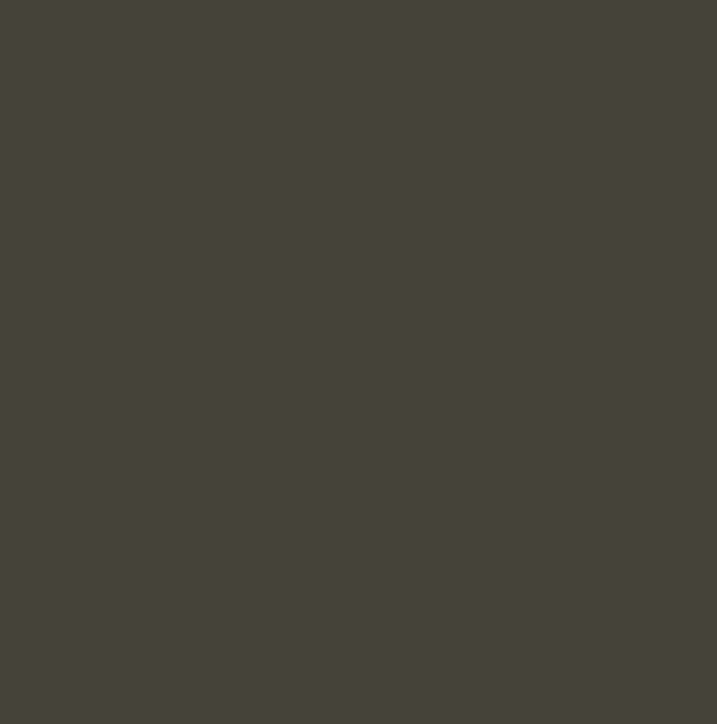 RAL6014 - Yellow olive