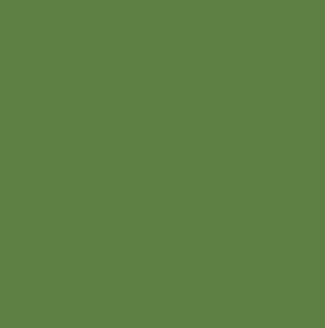 RAL6017 - May green