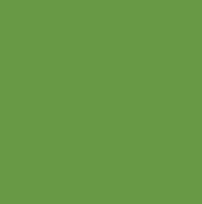 RAL6018 - Yellow green