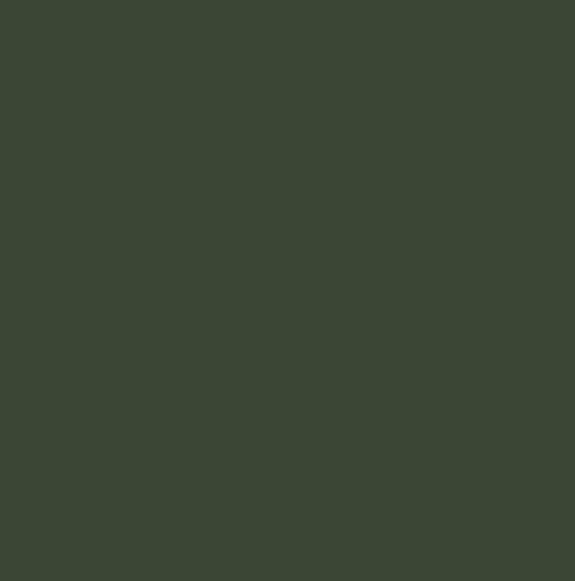 RAL6020 - Chrome green
