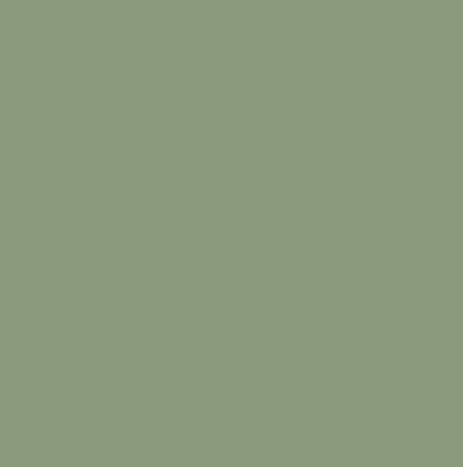 RAL6021 - Pale green