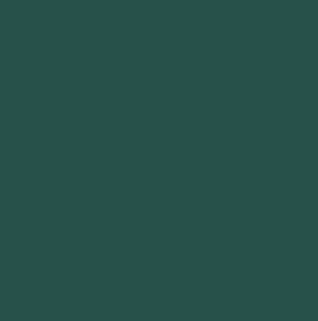 RAL6036 - Pearl opal green