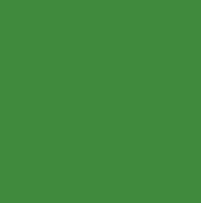 RAL6037 - Pure green