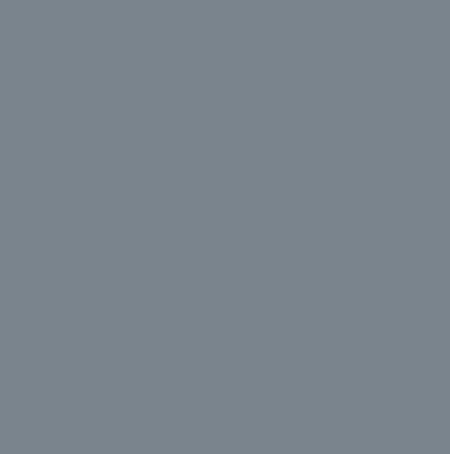 RAL7000 - Squirrel grey
