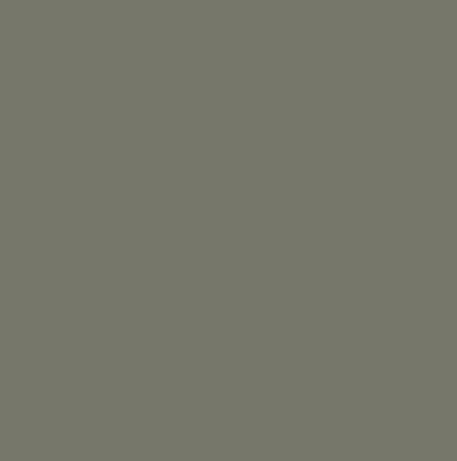 RAL7003 - Moss grey