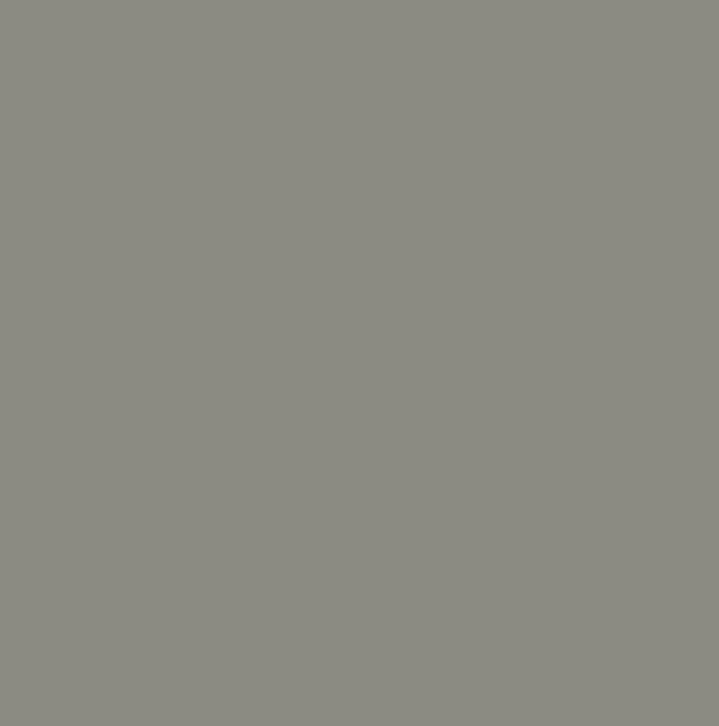 RAL7030 - Stone grey