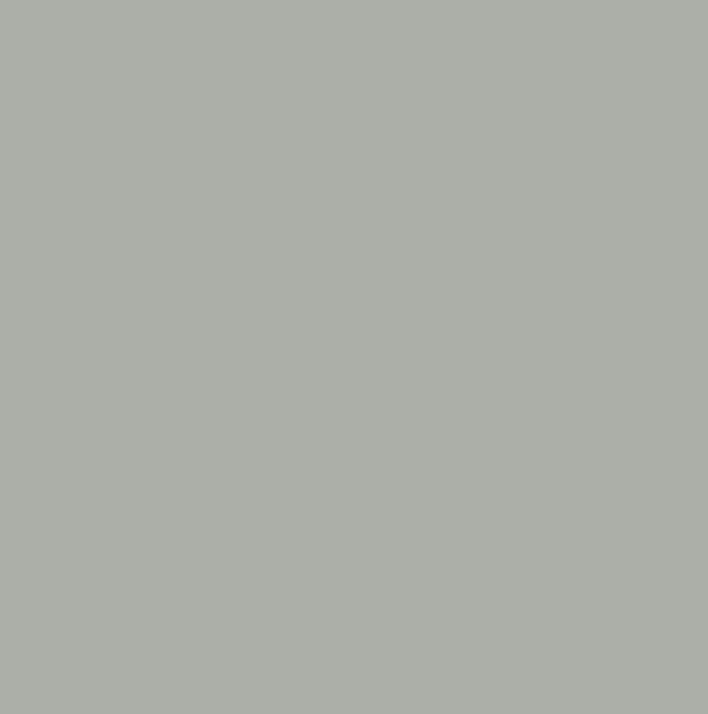 RAL7038 - Agate grey