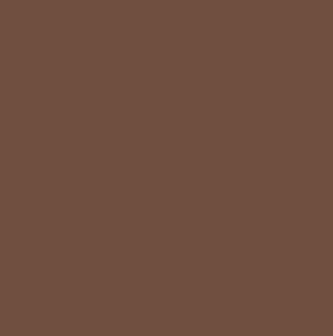 RAL8002 - Signal brown