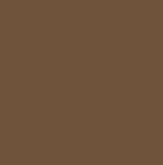 RAL8024 - Beige brown