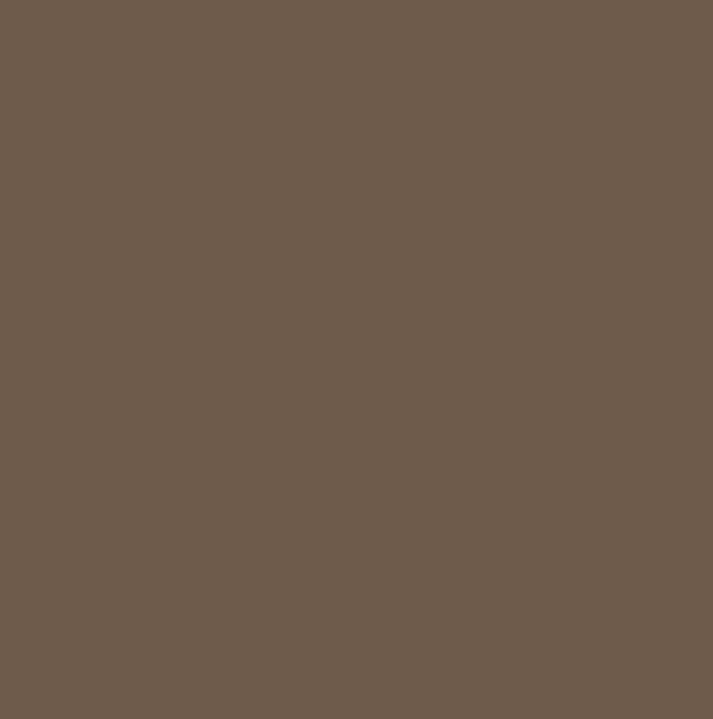 RAL8025 - Pale brown