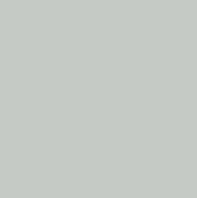 RAL9018 - Papyrus white