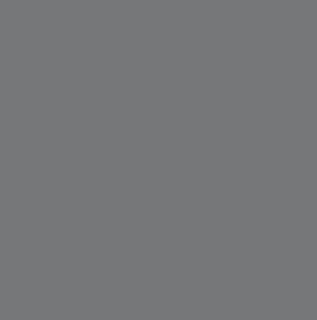 RAL9023 - Pearl dark grey